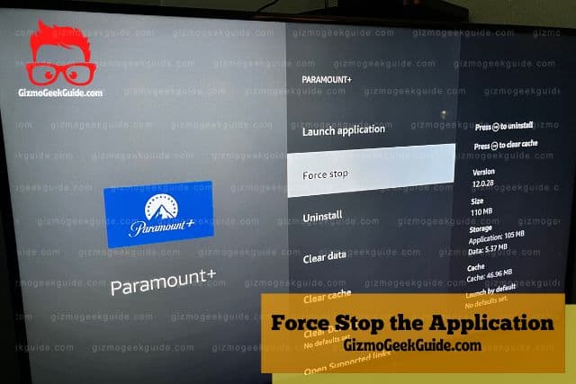 Force stop app on Fire TV Stick