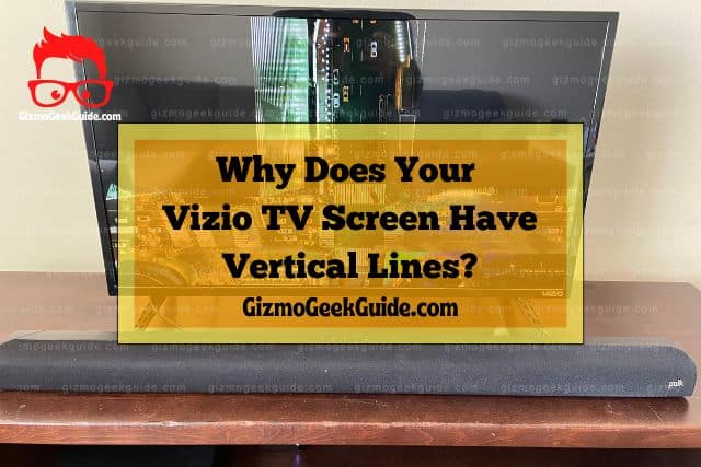 Vizio TV Display